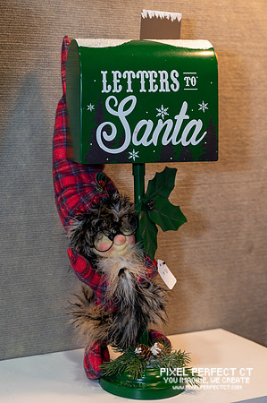 11-8-25 Christmas Festival-19