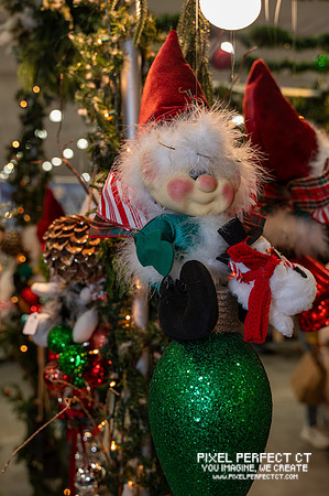 11-8-25 Christmas Festival-20