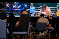 UFC 318 7-19-25-10