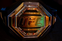 UFC 318 7-19-25-1